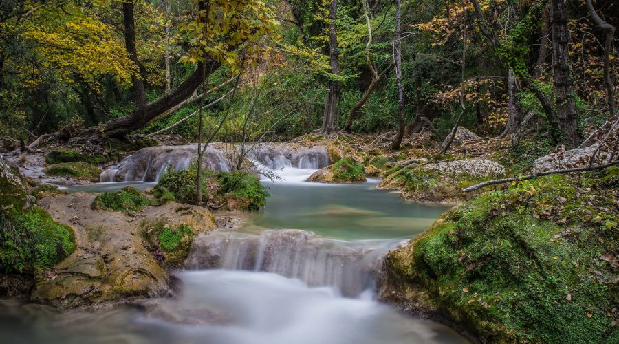 Inside the forest by Visual DiffusionPhotographe Mandelieu et Cannes